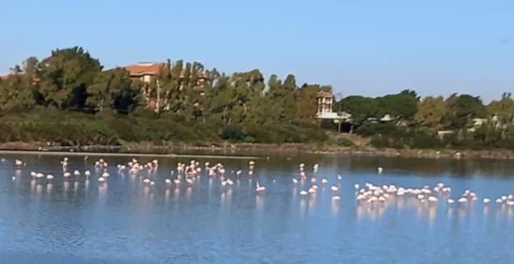 Turismo Rurale Pertunghe Villa Sant' Antonio di Santadi Eksteriør bilde